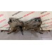 Балка подмоторная Peugeot 206 1998-2012 3502Z6