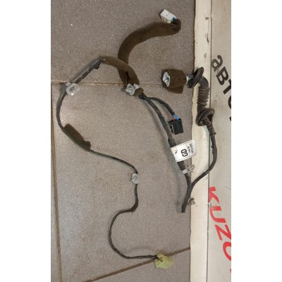 Проводка (коса) ДВЕРИ ЗАДНЕЙ ПРАВОЙ CHEVROLET SPARK (2005-2010) 96590334
