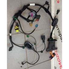 Проводка (коса) ПЕРЕДНЕЙ ЛЕВОЙ ДВЕРИ VW Passat [B6] 2005-2010 3C1971120ES