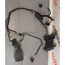 Проводка (коса) ДВЕРИ ЗАДНЕЙ ПРАВОЙ VW PASSAT [B6] (2005-2010) 3C4971694EL