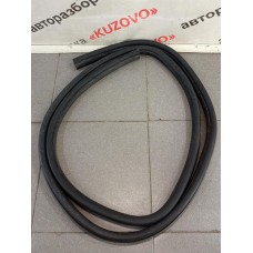 Уплотнитель (внутри) дверного проема Ford FOCUS II 2005-2008
